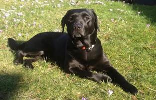 Bildquelle – Provital