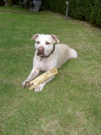 Bildquelle – Provital