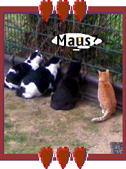 Bildquelle – Provital