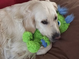 Bildquelle – Provital