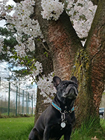 Bildquelle – Provital