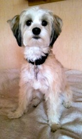 Bildquelle – Provital